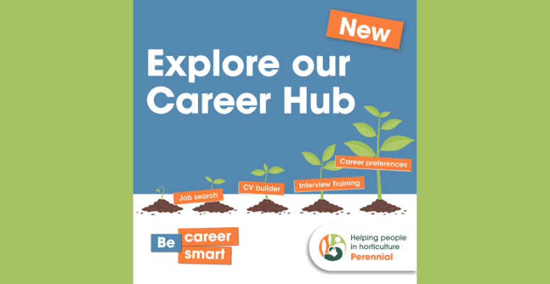 Perennial helping build career confidence with new career hub